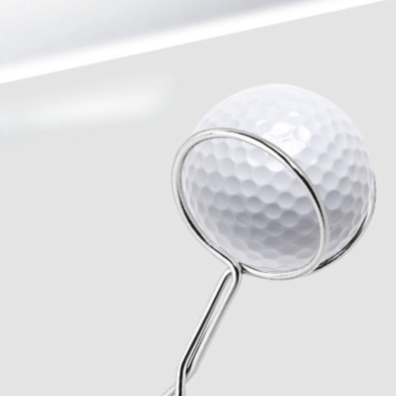 Stainless Steel Golf Ball Retr - Golf Clubs ulasan dan harga