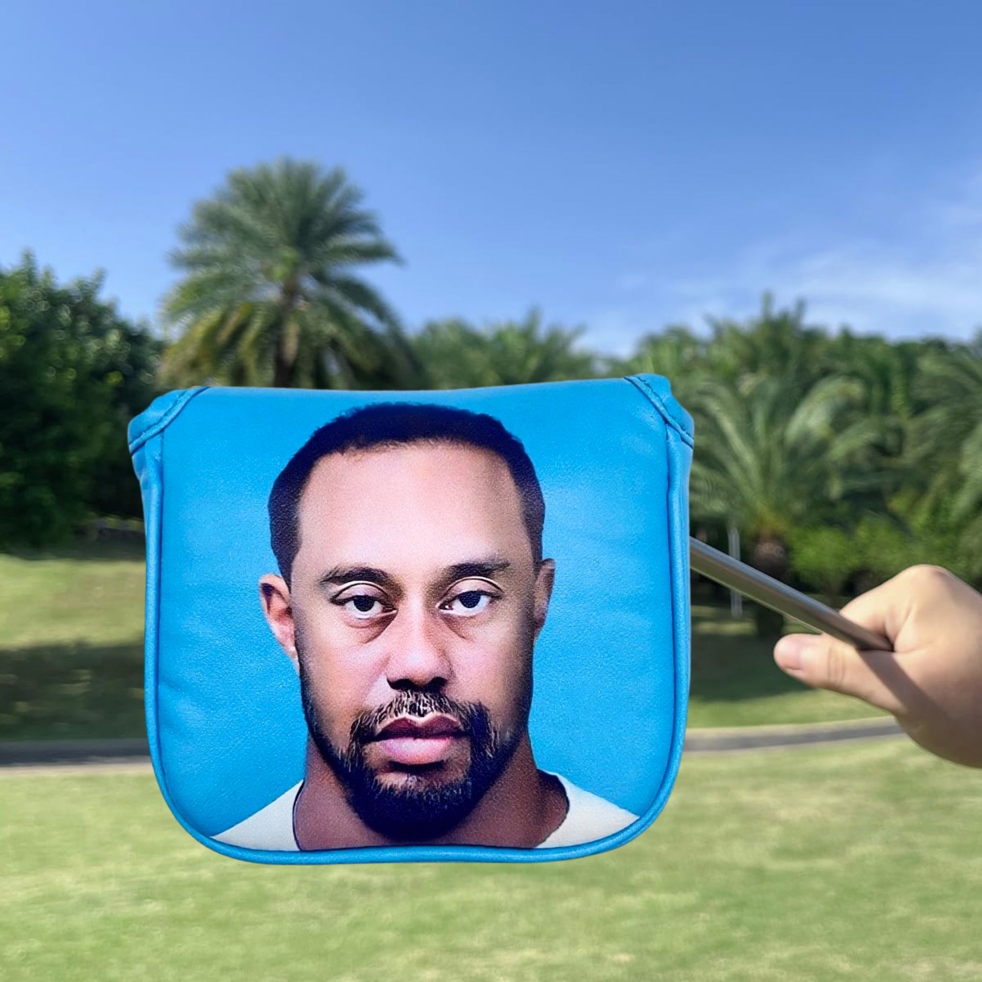 Funny Golf Mallet Putter Head  - Golf Putter ulasan dan harga